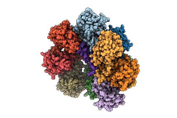 9D4U image