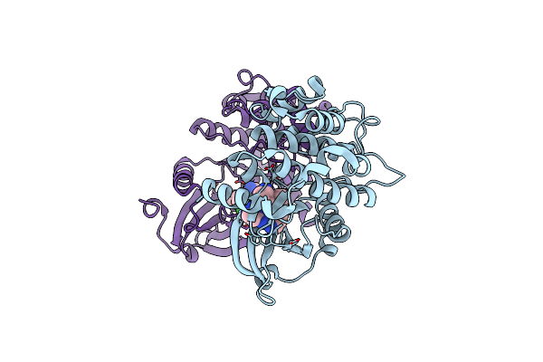 9D4Y image