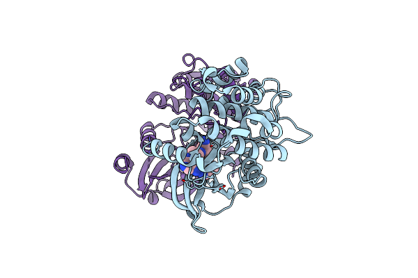 9D50 image