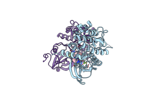 9D51 image