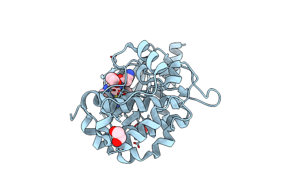 9D52 image