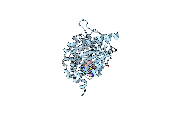 9D53 image