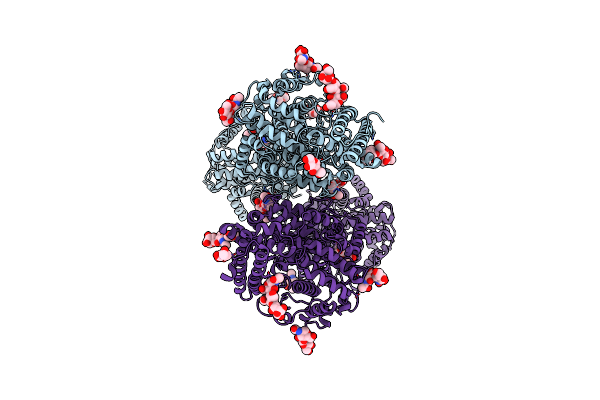 9D55 image