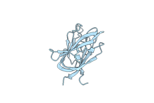 9D5D image
