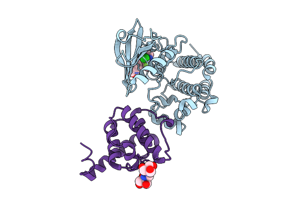 9D5H image