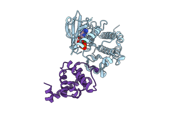 9D5I image