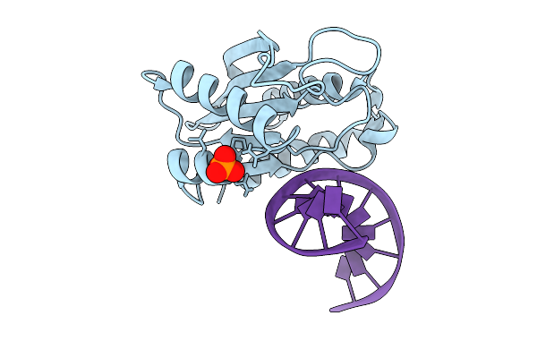9D5L image
