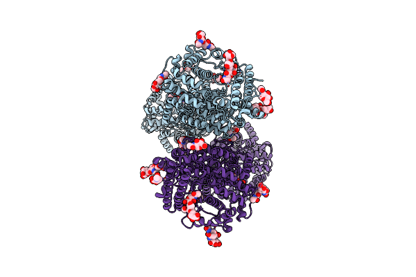 9D5M image