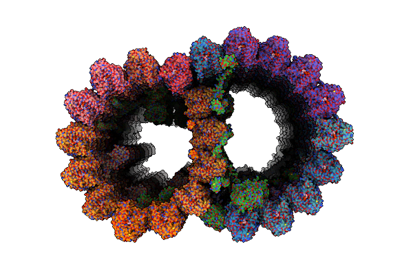 9D5N image
