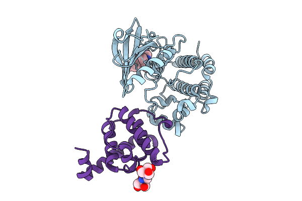9D5P image