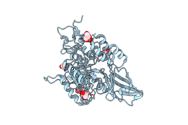 9D5T image