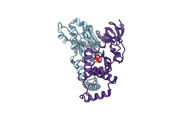 9D5U image