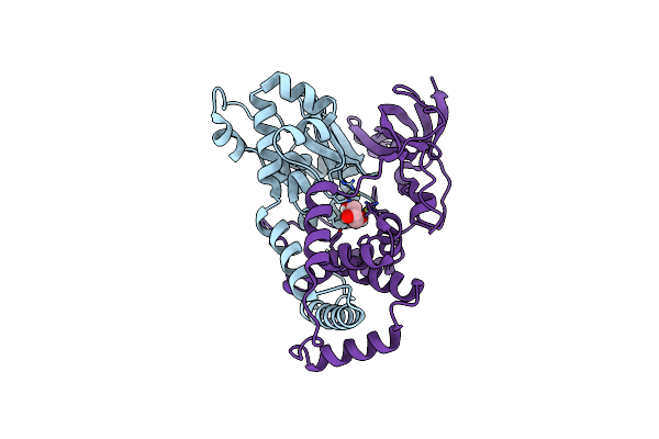 9D5V image