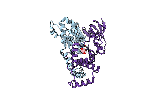 9D5Y image