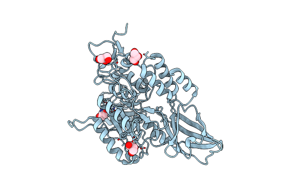 9D60 image