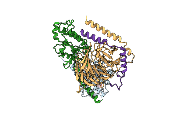 9D61 image