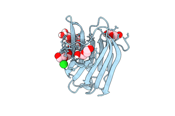 9D62 image