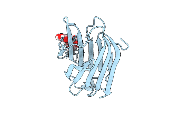 9D63 image