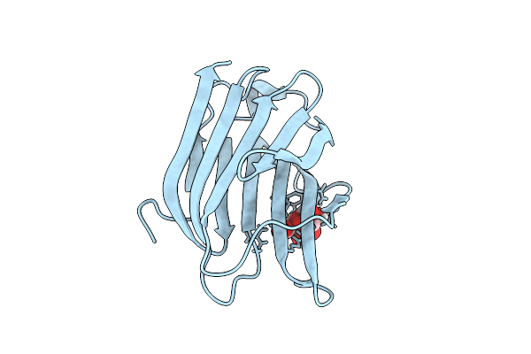 9D64 image