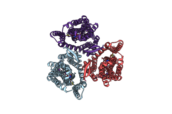 9D66 image