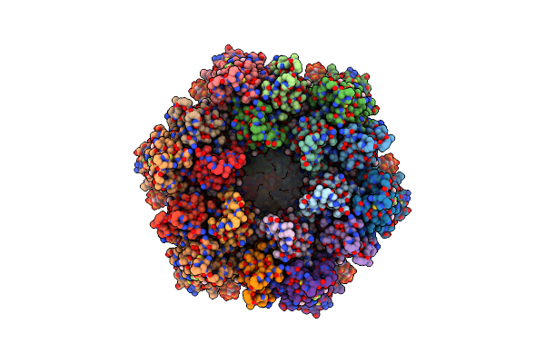 9D6D image