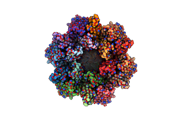 9D6E image