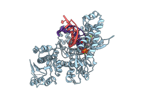 9D6O image