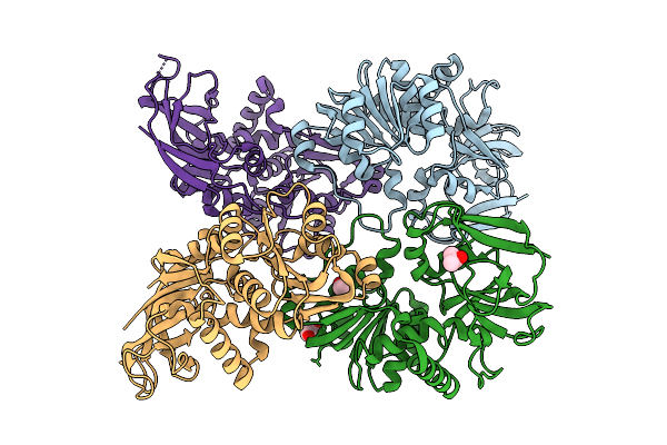 9D6W image