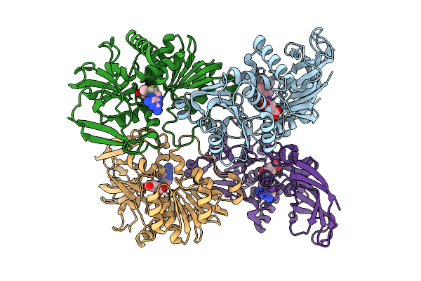 9D6X image