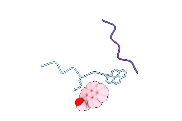 9D70 image