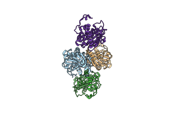 9D78 image
