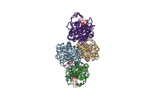 9D7A image