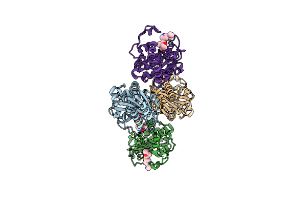 9D7C image