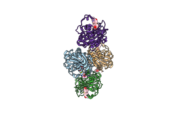 9D7D image