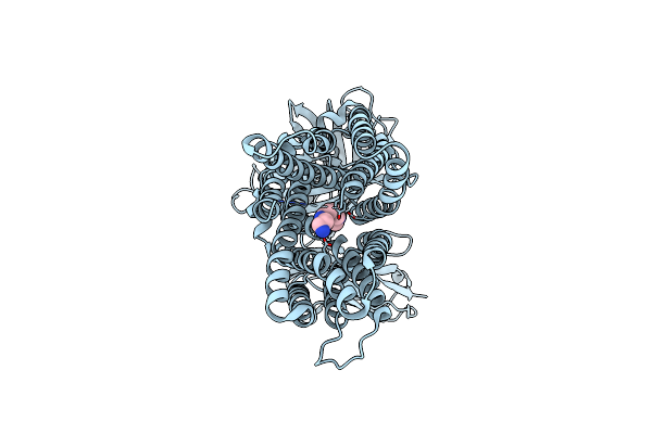 9D7X image