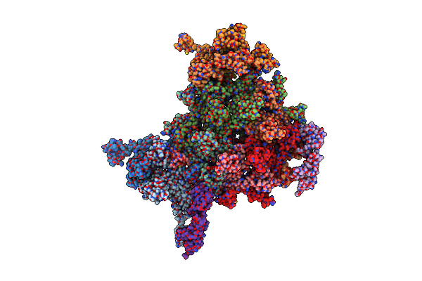 9D7Z image