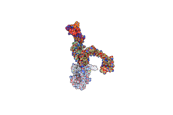 9D80 image