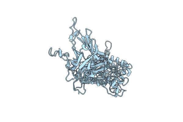 9D81 image