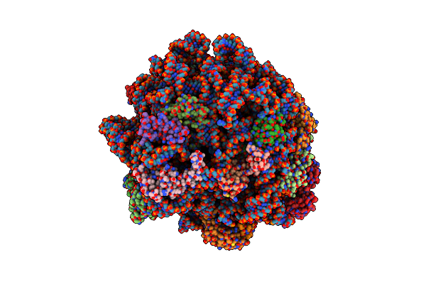 9D89 image