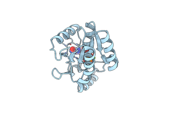 9D8A image