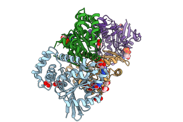 9D8B image