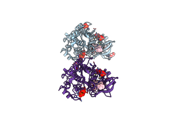 9D8E image