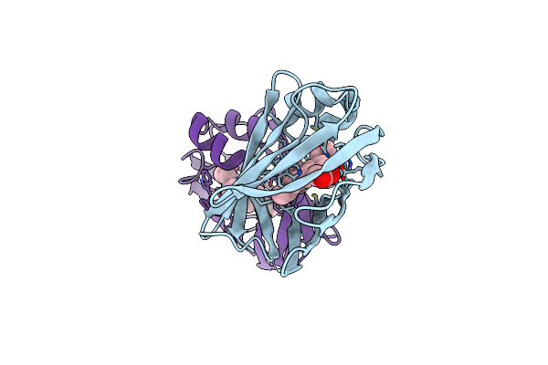 9D8M image