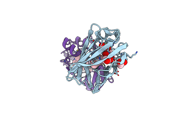 9D8N image