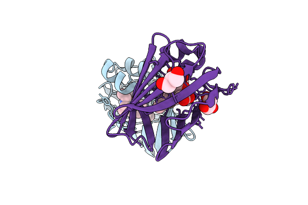9D8O image