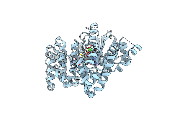 9D8S image