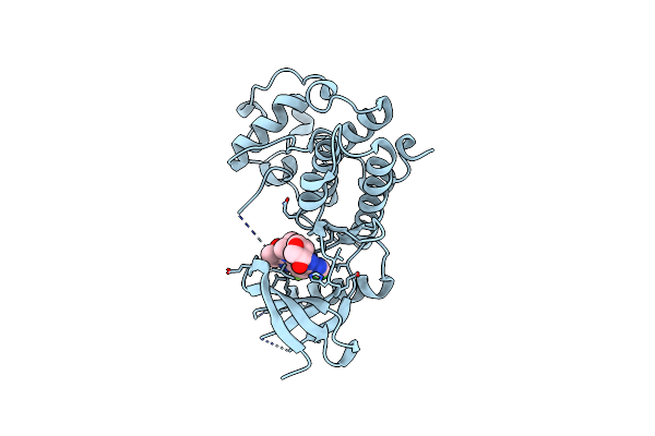 9D8U image