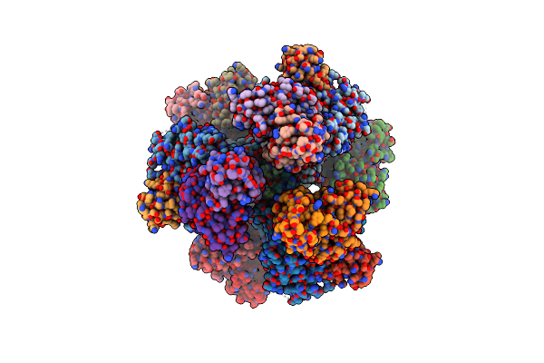 9D90 image