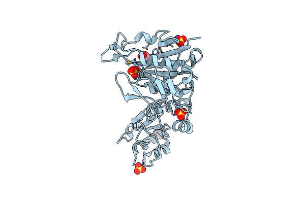 9D91 image