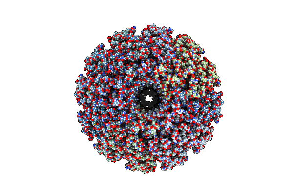 9D94 image